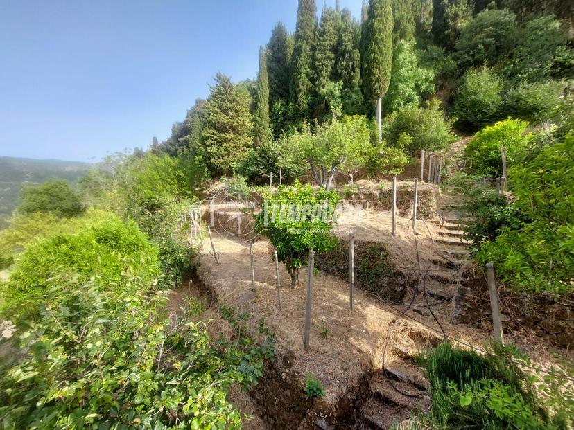Villa in Via Stretto Fontana, Monforte San Giorgio — foto 2 di 5