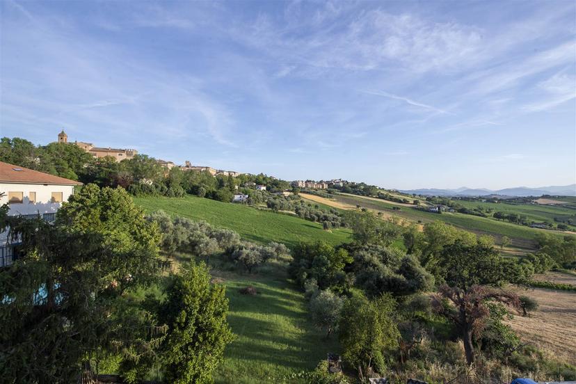 Quadrilocale, Ostra