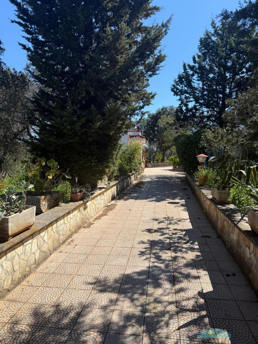 Trullo in Via Turco Camarda, Ceglie Messapica — foto 2 di 5