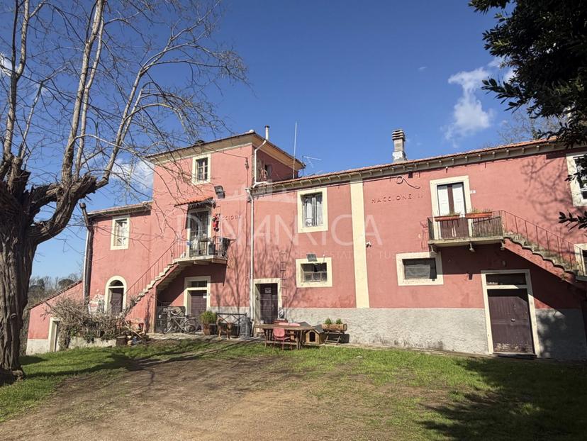 Casa colonica, Fauglia — foto 2 di 5
