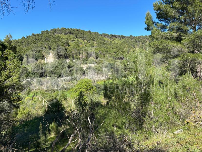 Rustico in Contrada Petraro Snc, Chiaramonte Gulfi — foto 5 di 5