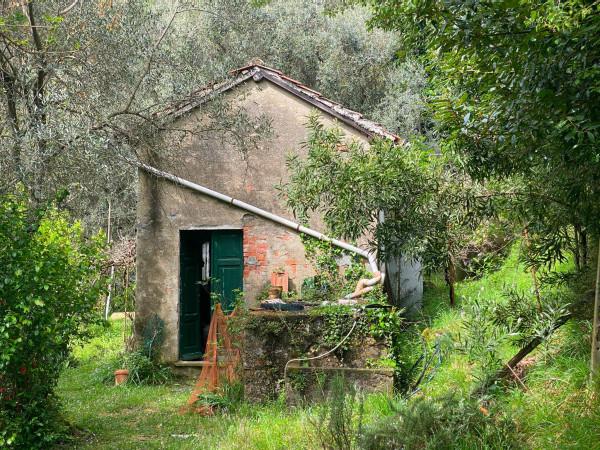 Rustico, Follo — foto 4 di 5