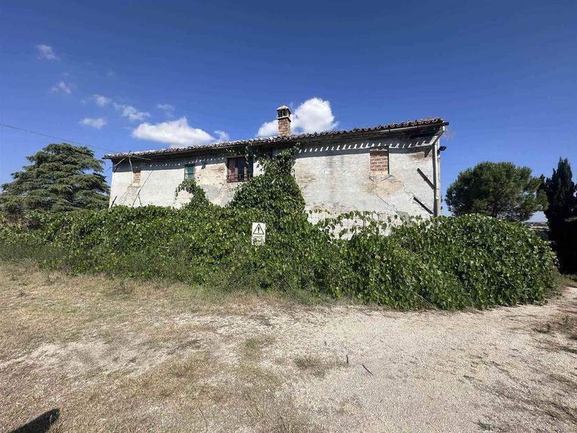 Rustico, Corinaldo — foto 4 di 5