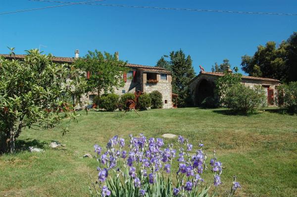 Casale in Strada Provinciale di Petriolo, Civitella Paganico — foto 2 di 5