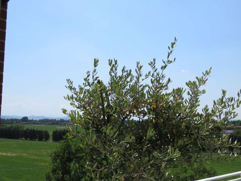 Attico, Castelnuovo Rangone — foto 2 di 5