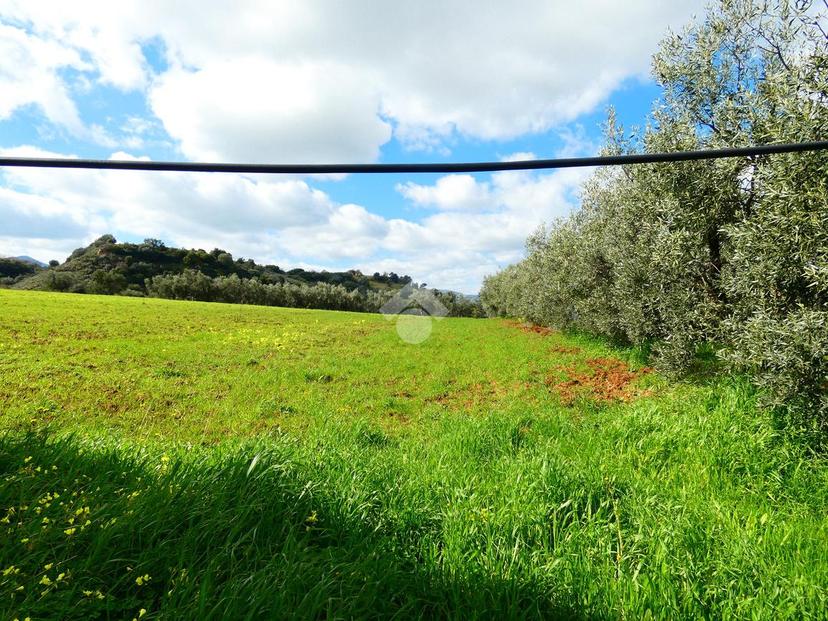 Appartamento in Contrada Caramola 1, Rotondella — foto 4 di 5