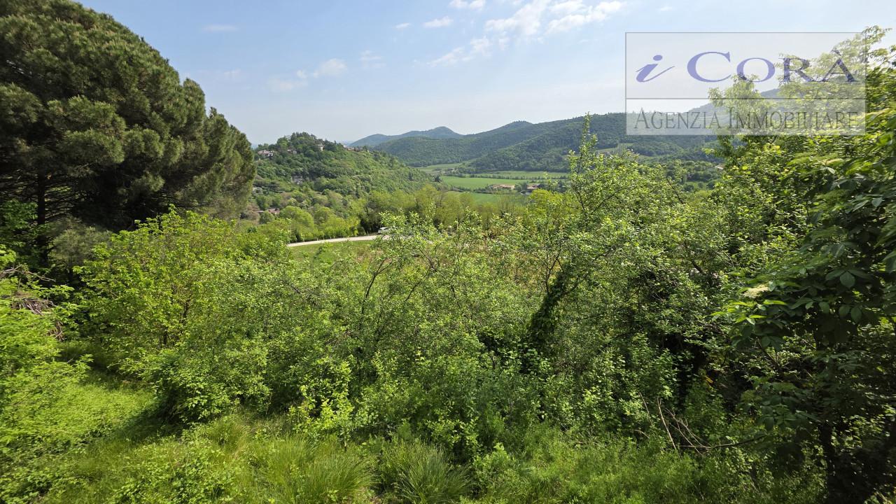 Rustico, Teolo