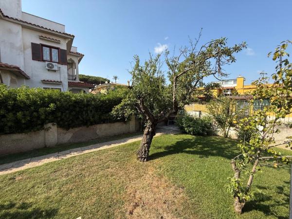 Villa a schiera in Via delle Bouganvillae, Anzio — foto 4 di 5