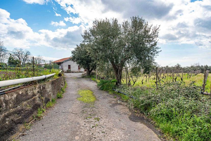 Casa indipendente in Via Chiovazzi, Piedimonte Etneo — foto 4 di 5