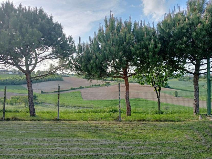 Villa unifamiliare, Conzano — foto 4 di 5