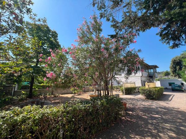 Villa in Via Luigi Anelli 46, Pescara — foto 5 di 5