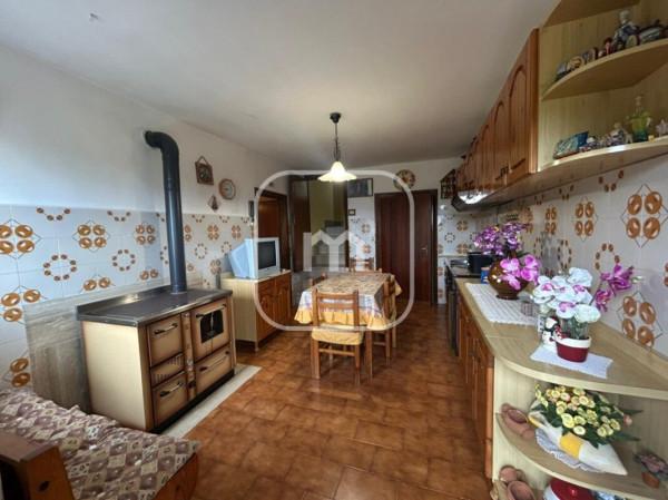 Villa bifamiliare in Via Selvatico, Artena — foto 4 di 5