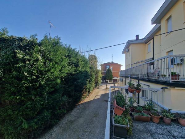 Trilocale, Novi di Modena