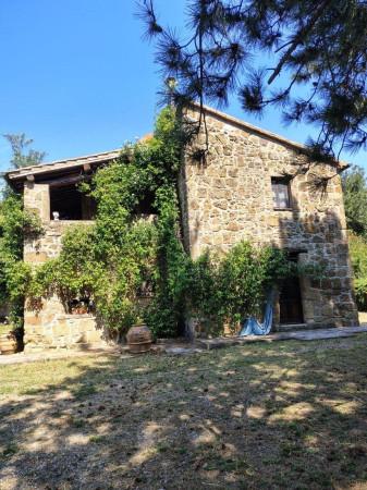 Casale, Sorano — foto 2 di 5