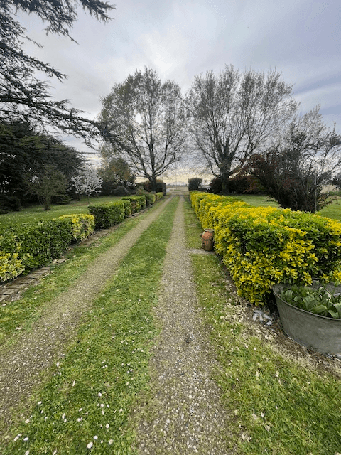 Casale in Via Pagano, Masi Torello — foto 4 di 5