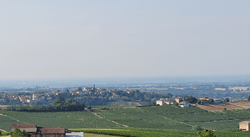 Villa bifamiliare in Località Albareto, Ziano Piacentino — foto 4 di 5