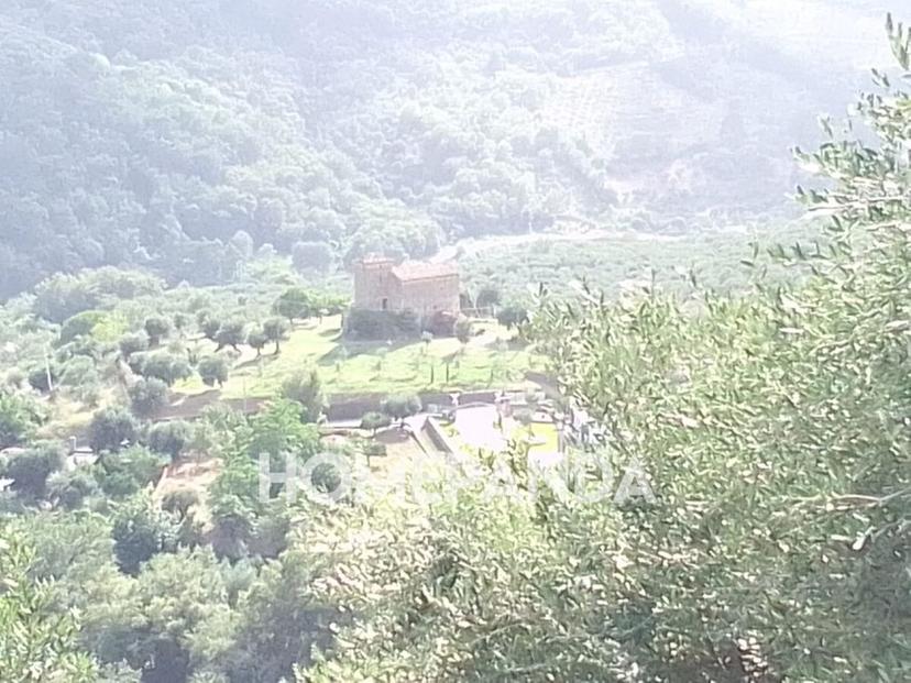 Casale in Casal Velino, Casal Velino — foto 4 di 5
