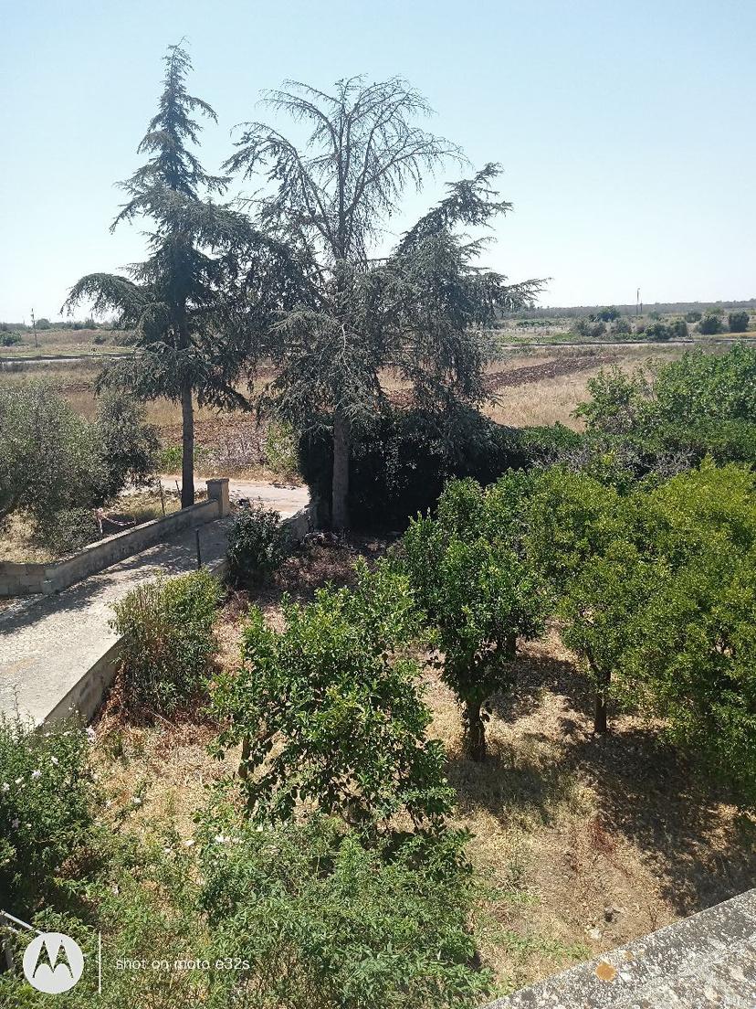 Villa in Via Risorgimento 17, Melendugno — foto 4 di 5