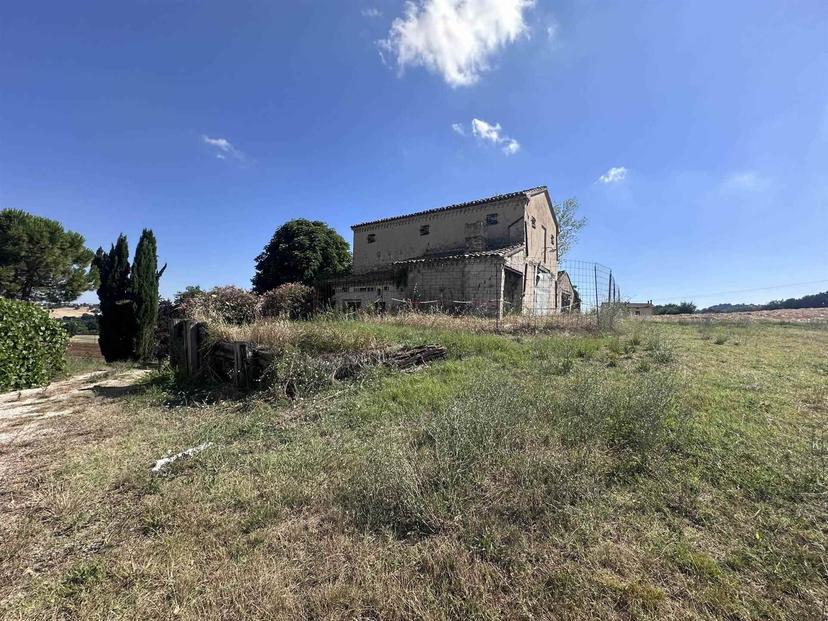 Rustico, Corinaldo