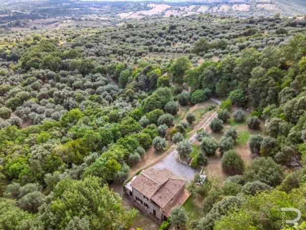 Rustico in Strada Provinciale di Fibbianello, Semproniano — foto 3 di 5
