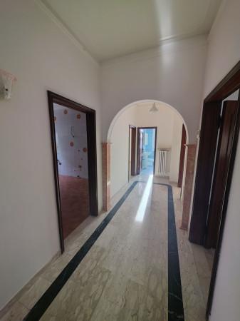 Trilocale in Via Giacomo Matteotti 22d, Castelnuovo Rangone — foto 3 di 5