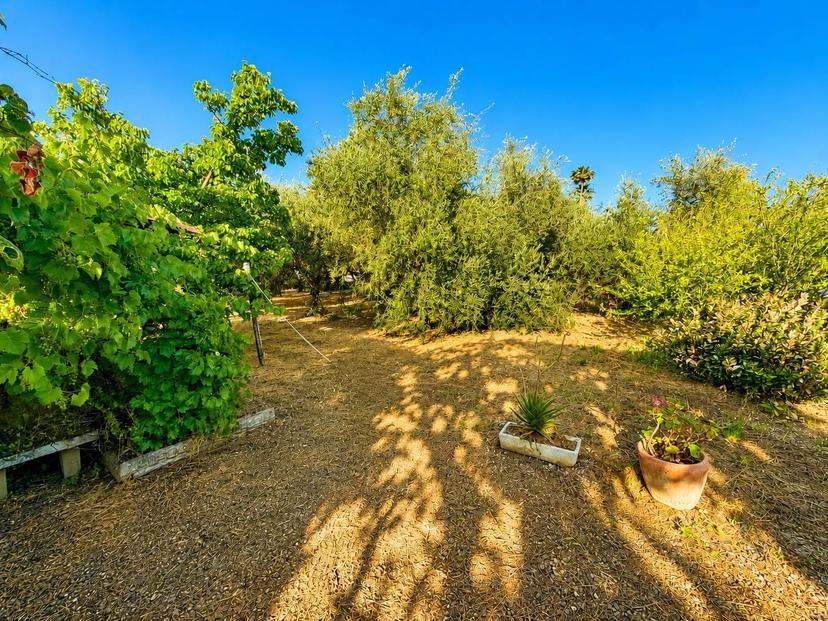Casa indipendente in Regione Rapalline, Albenga — foto 4 di 5