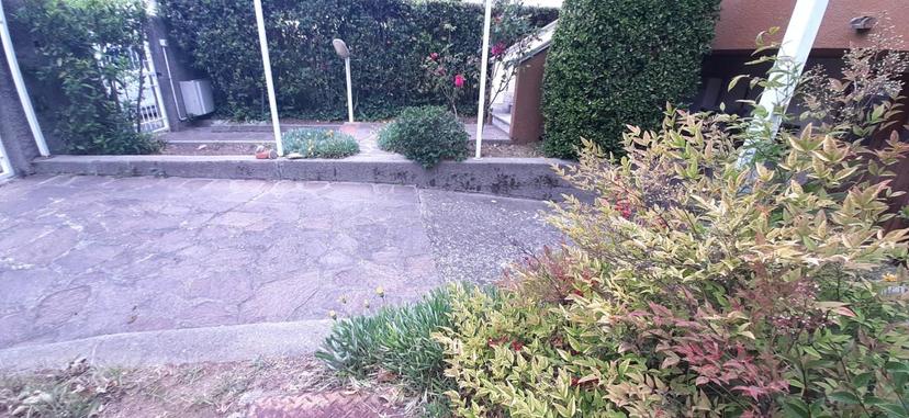 Quadrilocale, Rosignano Marittimo — foto 5 di 5