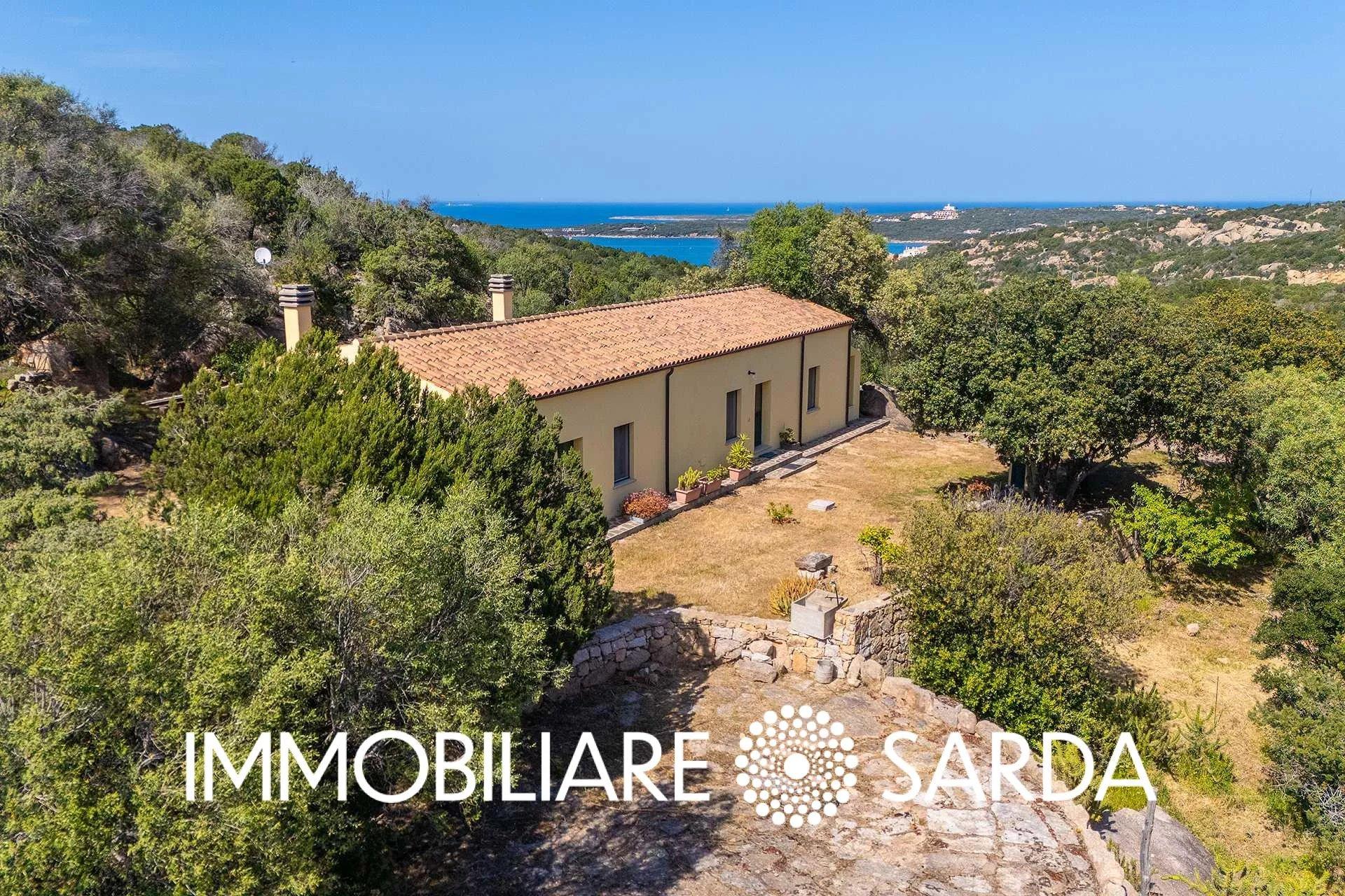 Villa in Via Liccia Intosa, Arzachena