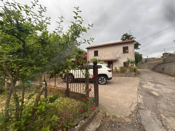 Villa in Via Carpine, Montefiascone — foto 4 di 5