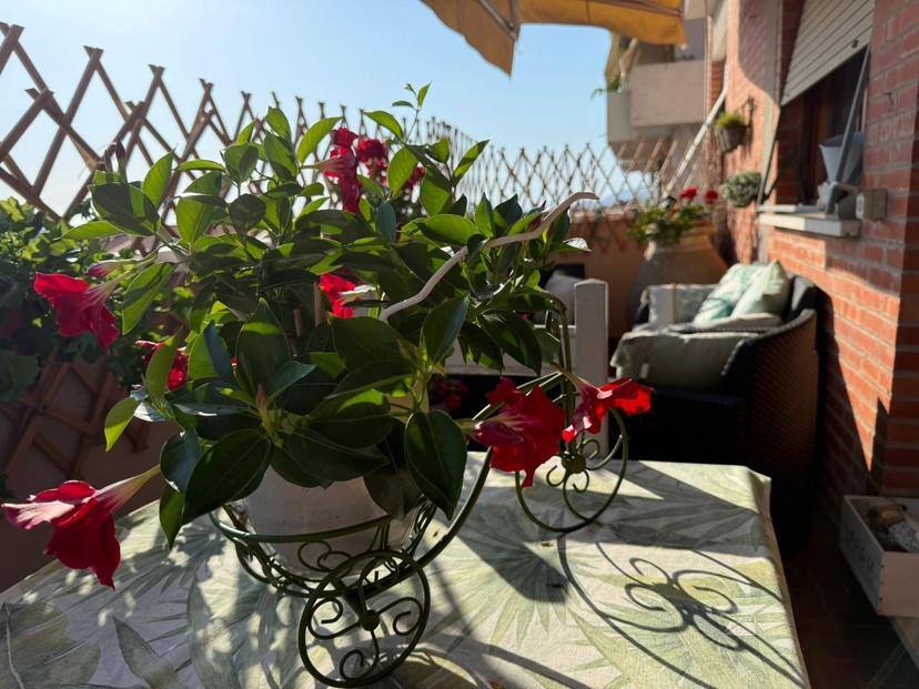 Appartamento, Seravezza — foto 2 di 5