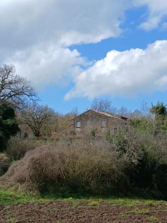 Casale in Strada Provinciale Mazzocchio, Vetralla — foto 3 di 5