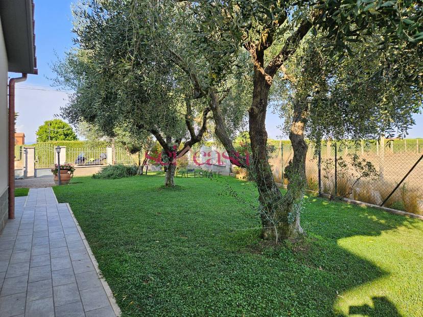 Villa in Marina di Grosseto, Grosseto — foto 2 di 5