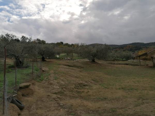 Casale in Strada della Cittadella, Torgiano — foto 3 di 5