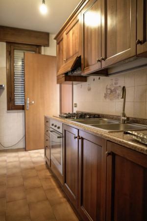 Villa a schiera, Moglia — foto 5 di 5