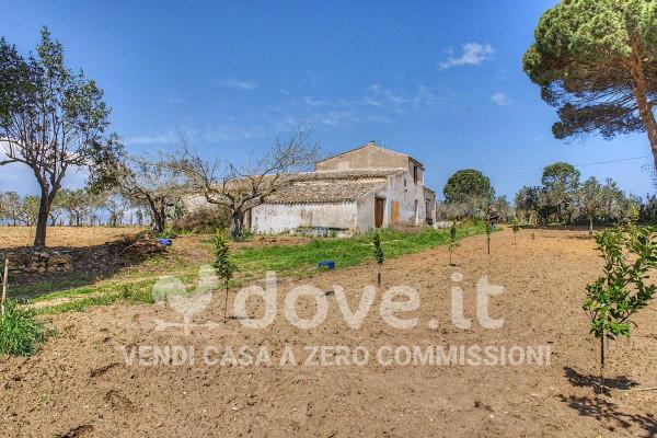Terratetto unifamiliare in Contrada Bosco Falconeria, Snc, Partinico — foto 3 di 5