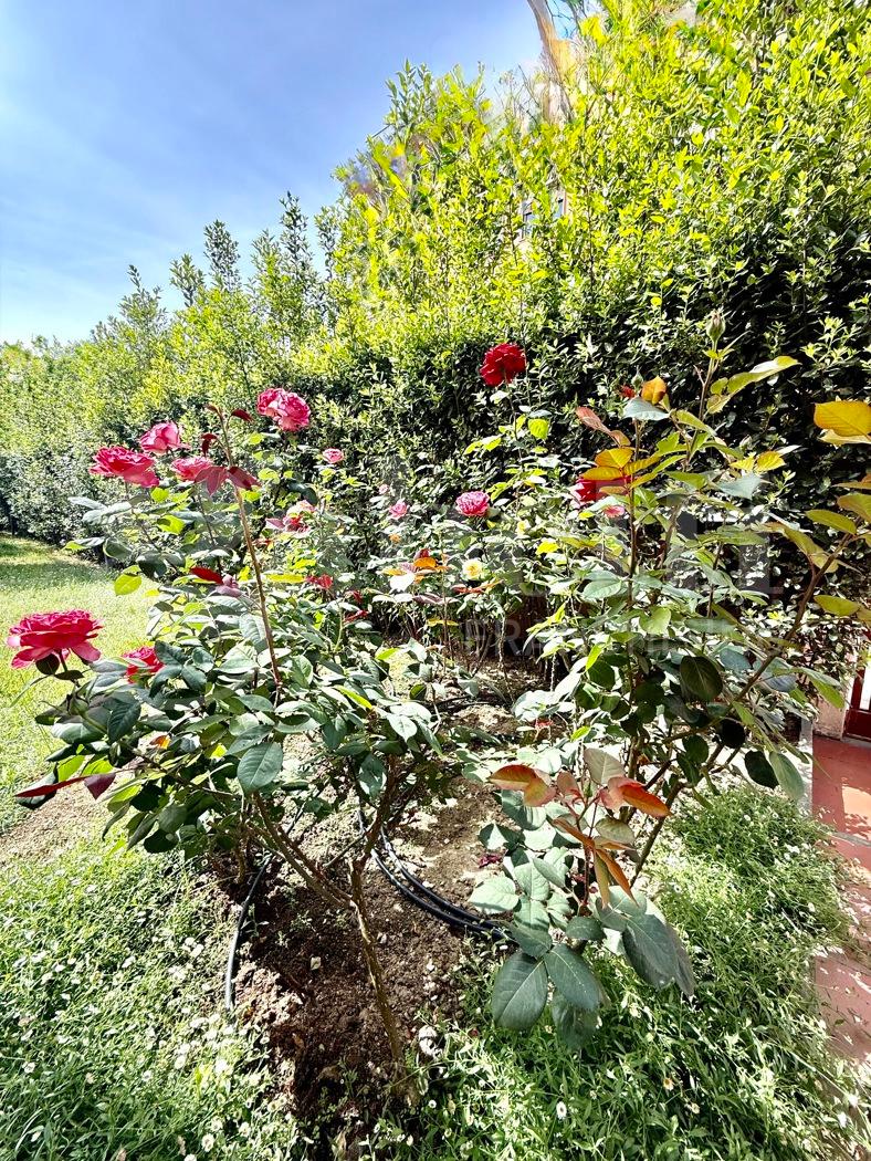 Villa, Santa Croce sull'Arno — foto 3 di 5