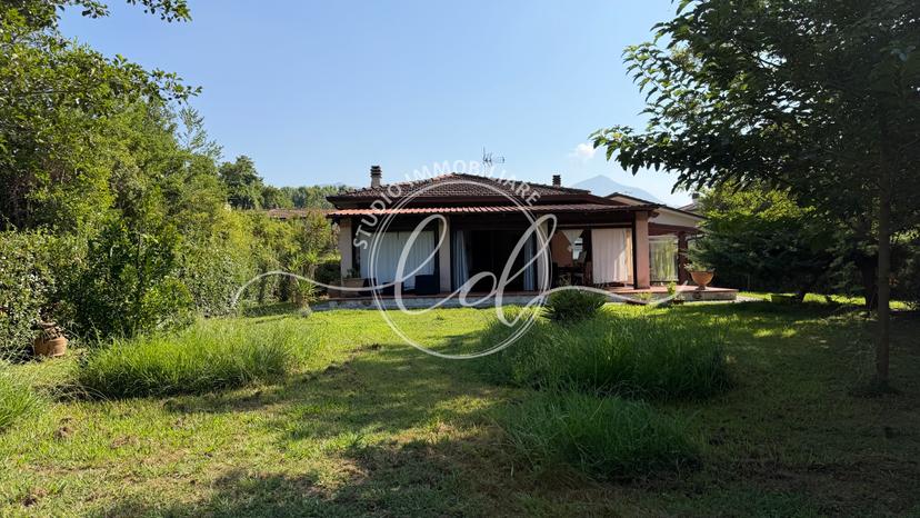 Casa indipendente, Pietrasanta — foto 3 di 5