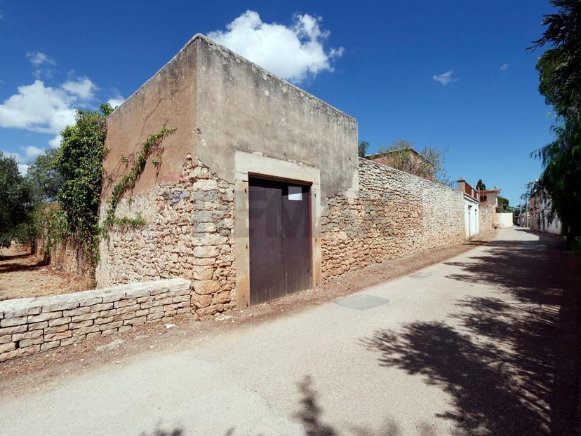 Casa indipendente in Contrada Sette Torri Snc, Giovinazzo — foto 4 di 5
