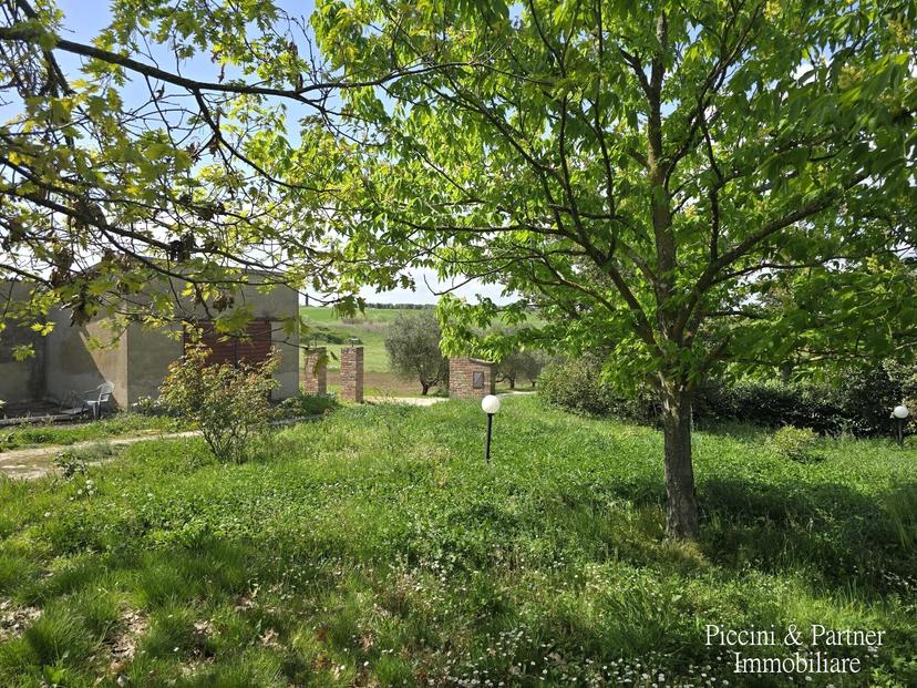 Rustico in Via Paganico 2, Castiglione del Lago — foto 3 di 5