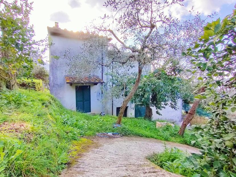 Terratetto, Calci — foto 4 di 5