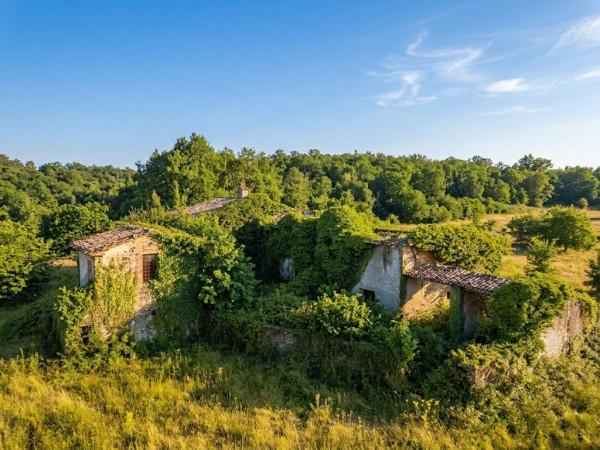 Rustico in Strada Provinciale delle Pinete, Monticiano — foto 5 di 5
