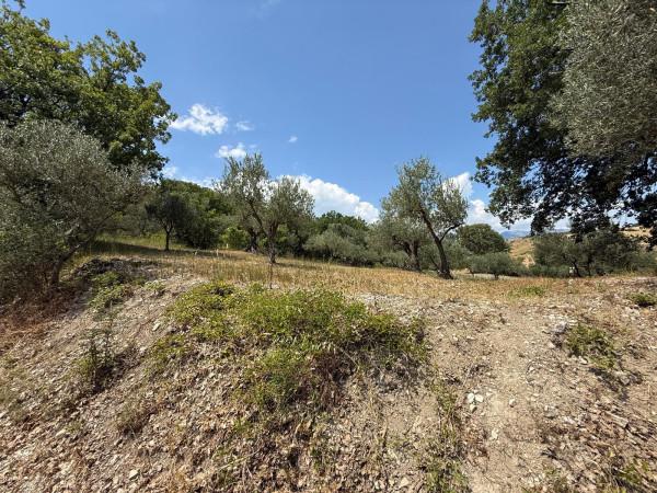Masseria in Contrada Montagna, Archi — foto 4 di 5