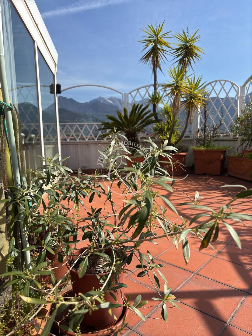 Attico, Seravezza — foto 3 di 5
