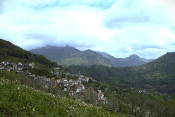 Cascina in Località Colle, Dossena — foto 2 di 5
