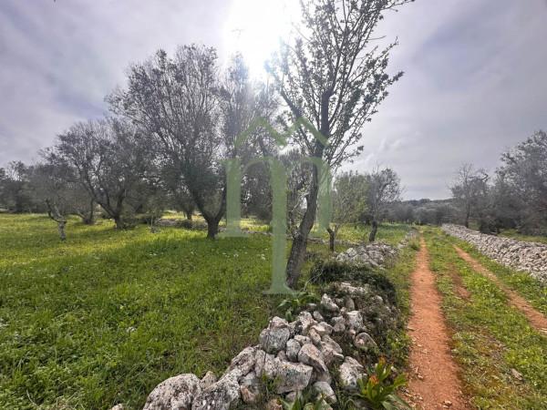 Trullo, Carovigno — foto 5 di 5