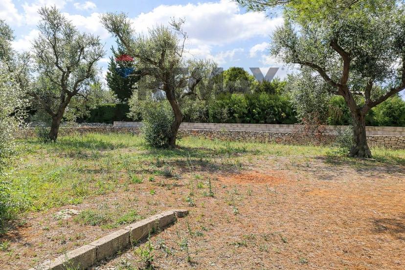 Abitazione tipica in Via Sant'Eleuterio Snc, Collepasso — foto 3 di 5