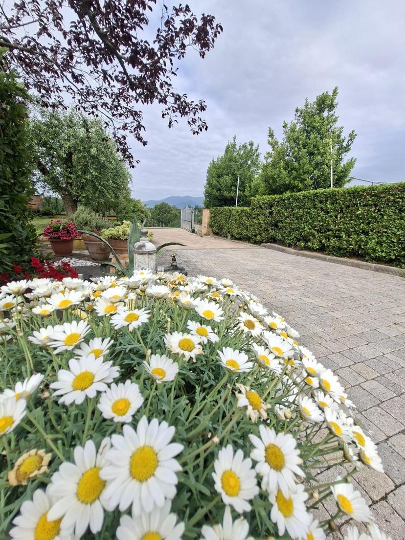 Villa, Santa Maria a Monte — foto 5 di 5