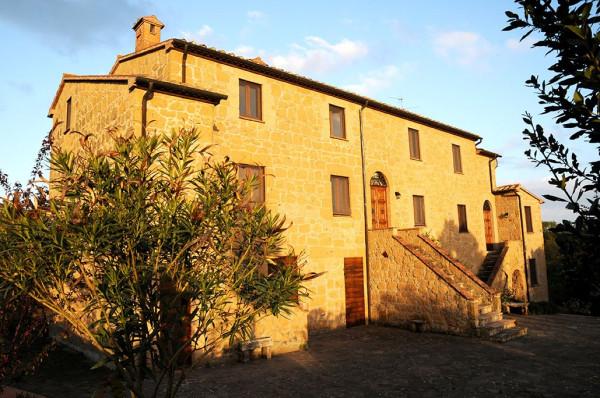 Casale in Località Naioli, Pitigliano — foto 3 di 5