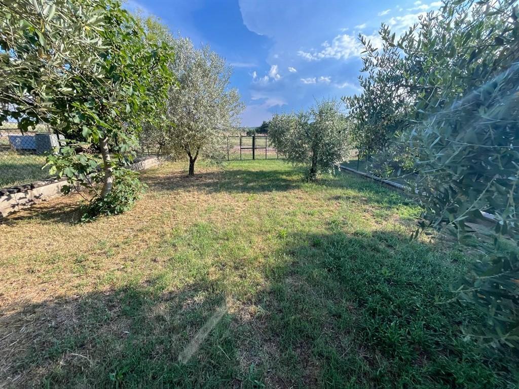 Appartamento, Civitella in Val di Chiana