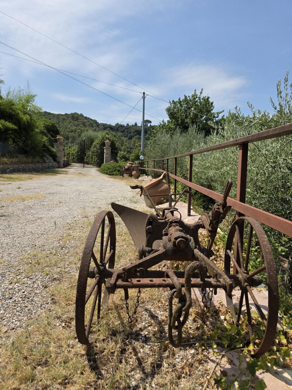 Casale, Torgiano